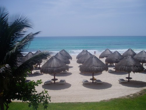 DC_gal's profile picture. 