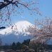 🎶静岡県立大学 コーラス部(混声)🎶 (@ken_choir) Twitter profile photo 🎶静岡県立大学 コーラス部(混声)🎶 (@ken_choir) Twitter profile photo
