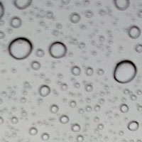 Ꮼ (@boapythonq) 's Twitter Profile