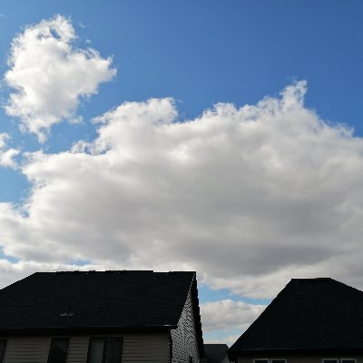 JerryDo71873237's profile picture. 