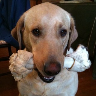 c_h_barnes's profile picture. 