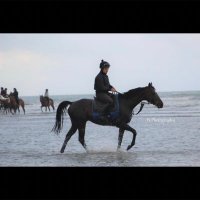 DCBloodstock France (@dannyco75831415) 's Twitter Profile Photo DCBloodstock France (@dannyco75831415) 's Twitter Profile Photo