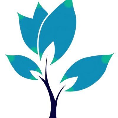 MizuNaeさんのプロフィール画像