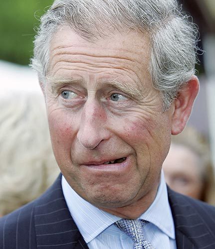 Не битьем, так покаянием... Prince-charles