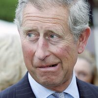 King Charles III (parody)(@Charles_HRH) 's Twitter Profile Photo