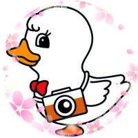 Alison 🐥 (@dinoteuk) 's Twitter Profile Photo