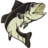p_curiel's profile image