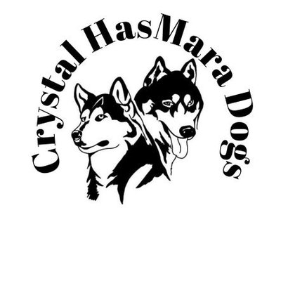 Crystal Dogsのプロフィール写真