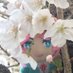 あきた (@____akita) Twitter profile photo あきた (@____akita) Twitter profile photo