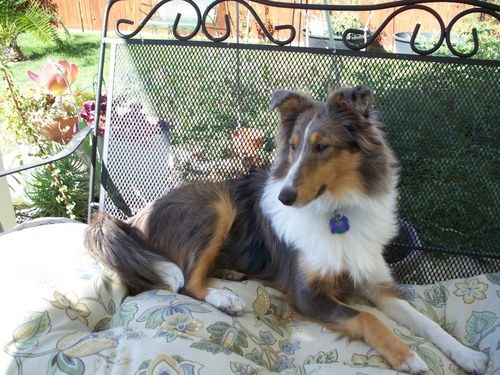 RRMims's profile picture. Attorney 39 years