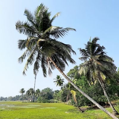 SupriyaPujari2's profile picture. IT Engineer, Proud Modi Fan and die hard RSS and BJP supporter