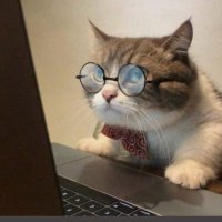 Ahter Destan (@ahterdestan) 's Twitter Profile