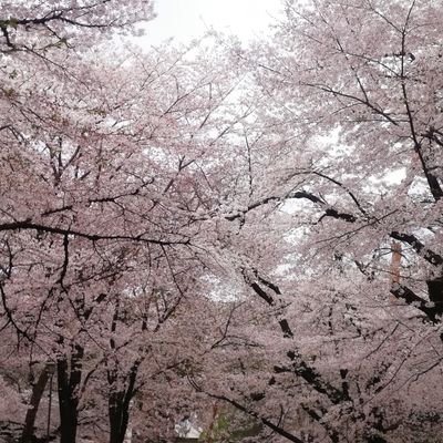 明日も頑張って生きていきます。
小説書いてるんでよかったら見てください。
小説家になろう
https://t.co/NjQ7yqRX5d
ハーメルン
https://t.co/8MlvN7X3yZ