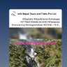 infonepaltours1's profile picture. Travel agency