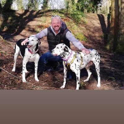 jprd1978's profile picture. Translator and transcriber.