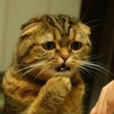 Uu1gmgBfpyntyxH's profile picture. 初めまして ツイッター始めたはいいですがよく分かっていないので失礼があったらごめんなさい( ；∀；)