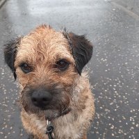 JudeDavies (@judedav60301626) 's Twitter Profile