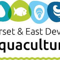 Dorset Fisheries and Aquaculture (@dorsetdevonflag) 's Twitter Profile