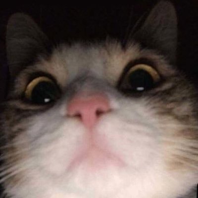 1_reem081's profile picture. 