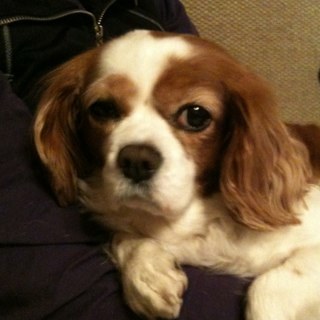 AidanPSherry's profile picture. 