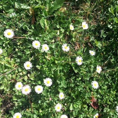 MercedesBermej9's profile picture. Me gusta el cine