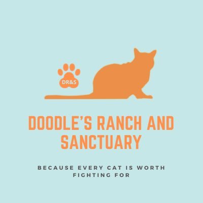 Doodle's Ranch & Sanctuary provides free donated medical supplies, health programs, and next steps in special needs cat care to keep owner & cat together.