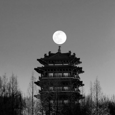 rahulpo01's profile picture. @Positivi-Tea☕️ की दुकान..#Introvert