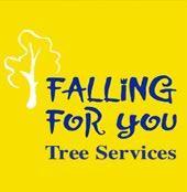 fallingforyouNZ's profile picture. We are experienced in all aspects of tree work including tree surgery, tree felling and stump grinding. Find us on Facebbok - http://t.co/9pRnlqHaUF