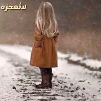 gigi_stanfan's profile picture. 