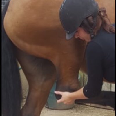 Osteopath for Revive Osteopathy. Human body/ equine and canine osteopath.