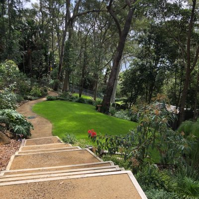 Hilltopheaven1's profile picture. Gardening and puppy hugs feed my soul  Registered Nurse/Midwife/Lecturer