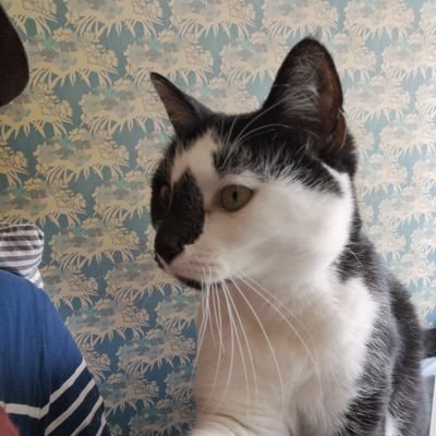 GaffuriJean's profile picture. Chirurgien orthopediste