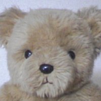 ひまわり(•ө•)@日商簿記1級&TOEIC (@kamesan_tsukune) Twitter profile photo