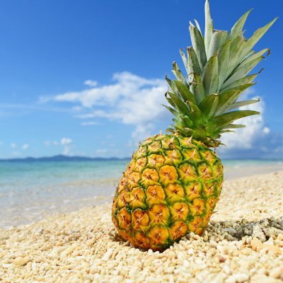 FSFAm7tMRrPhzIY's profile picture. 