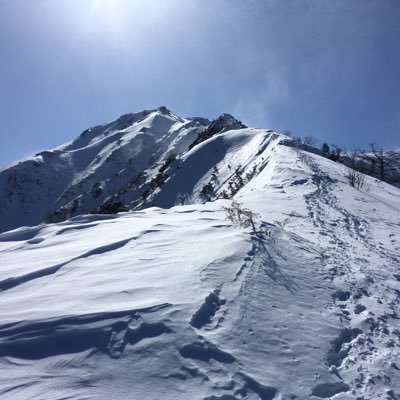 もうすぐ還暦ゆるふわ元🏔屋崩れ。時々のおやまとほぼall、手書き&水性筆塗りによる飛行機模型製作と白黒ワンコが癒しにゃ(時々苦行)