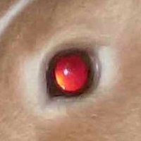 Keith Andrews (@kgandrews_) 's Twitter Profile Photo Keith Andrews (@kgandrews_) 's Twitter Profile Photo