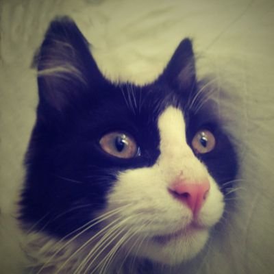 arturomiranda64's profile picture. 