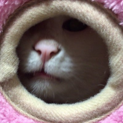 c33laurel5's profile picture. 