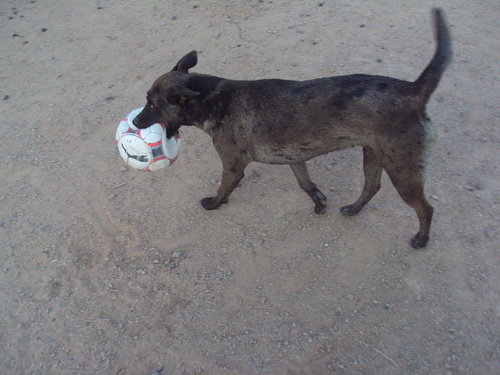 HOUSTONDYNAMO25's profile picture. 