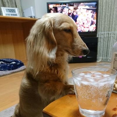 Kaesuke119's profile picture. 