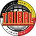 TRIBAL National Basketball (@TRIBAL_Bball) Twitter profile photo