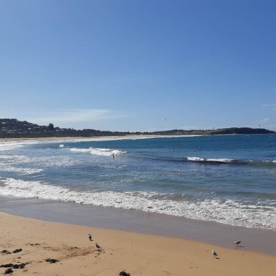 vichenso9's profile picture. 