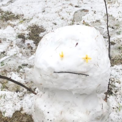 eingedanke2's profile picture. apex結構楽しい