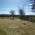 Susan Guinan (@thepaddocksfarm) Twitter profile photo