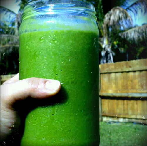 seedtotree's profile picture. healthy eating specialist/vegan chef/holistic health coach/yoga & meditation teacher: i help people love and nourish themselves through food & lifestyle.