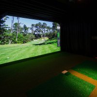GolfSimulatorVideos (@simulatorvideos) 's Twitter Profile Photo GolfSimulatorVideos (@simulatorvideos) 's Twitter Profile Photo