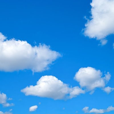 notarinotarito's profile picture. 