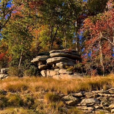 TheBouldersNC's profile picture. Stunning gated mountain community inspired by nature. Savor the most gorgeous mountain views in a location unmatched.