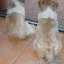 Bee_Ding Chuang - @Bee_Ding - Twitter