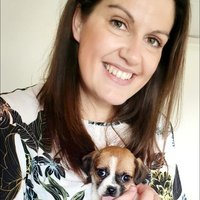 Editor at Citylife (@editor_citylife) Twitter profile photo